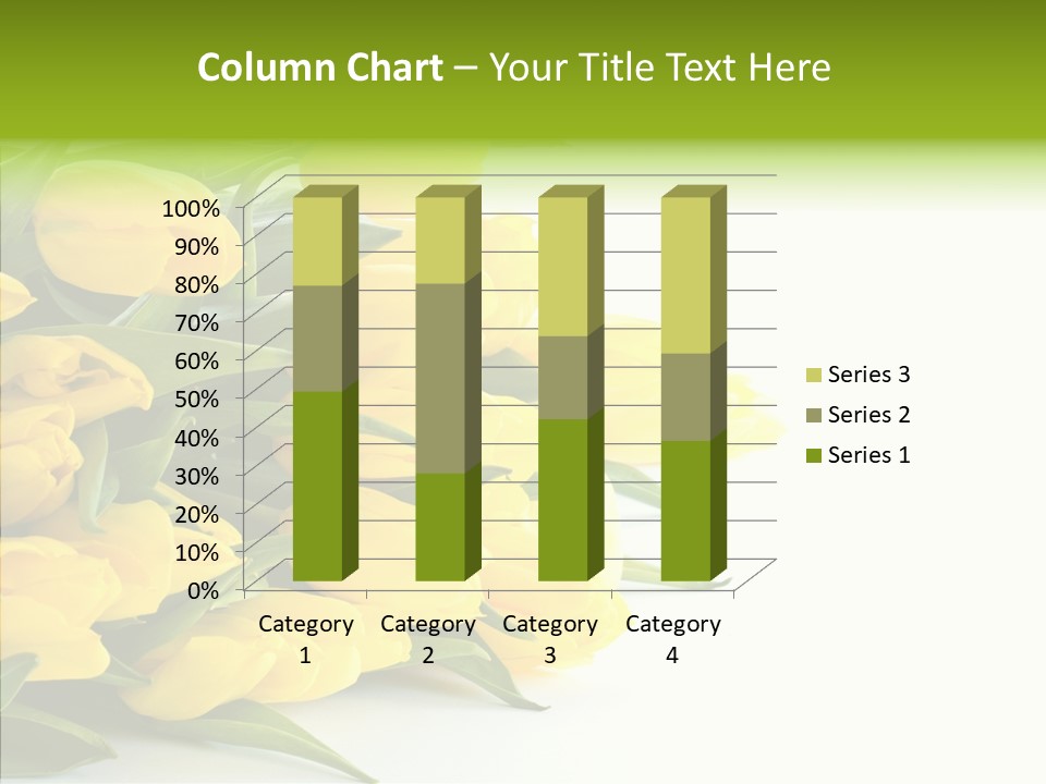 Space Bouquet Color PowerPoint Template