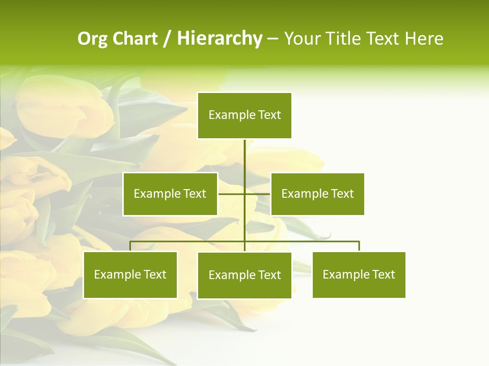 Space Bouquet Color PowerPoint Template