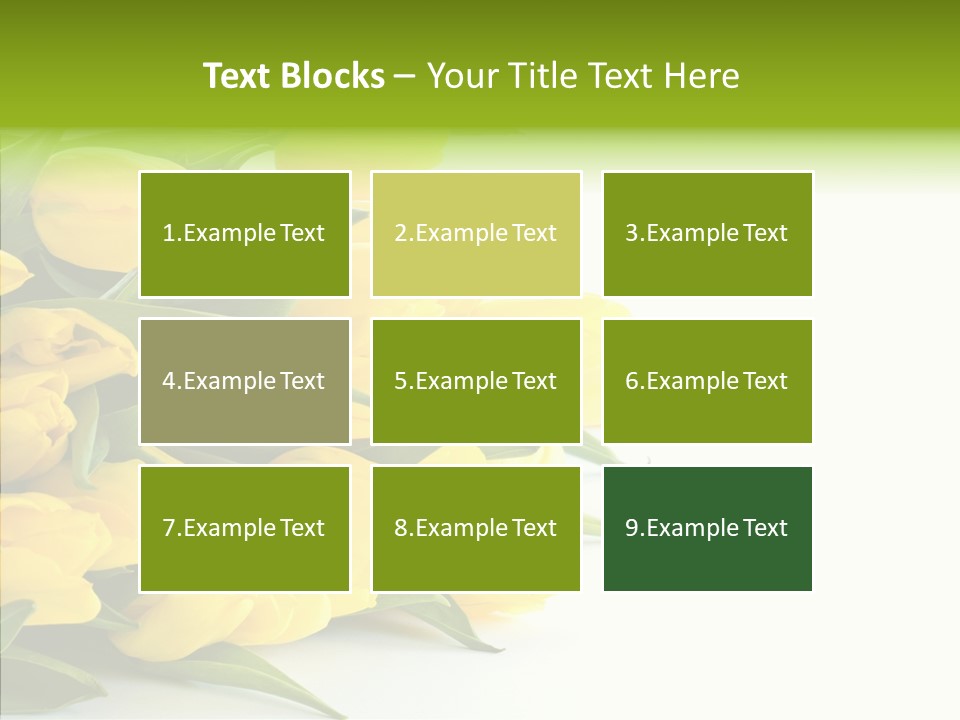 Space Bouquet Color PowerPoint Template