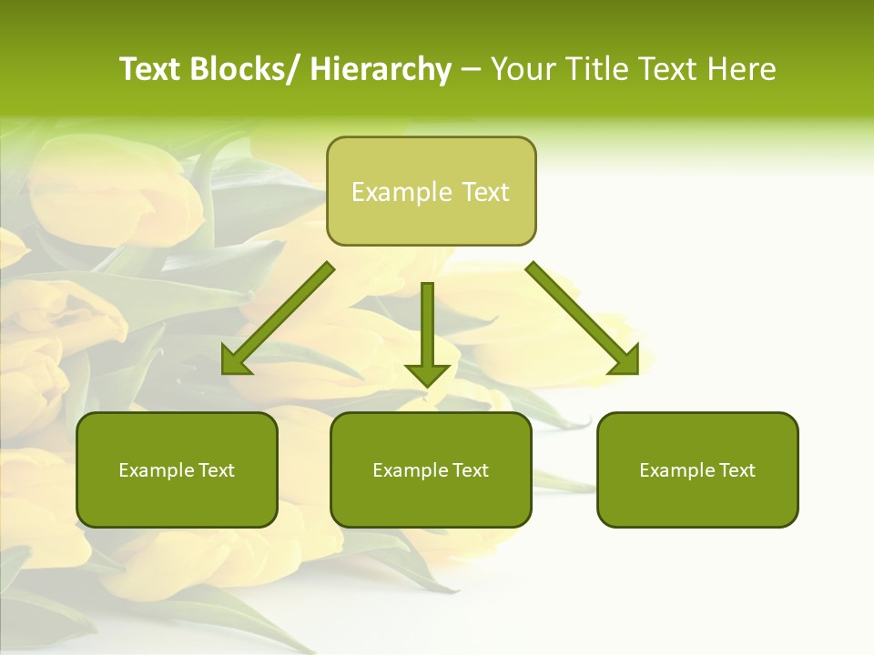 Space Bouquet Color PowerPoint Template