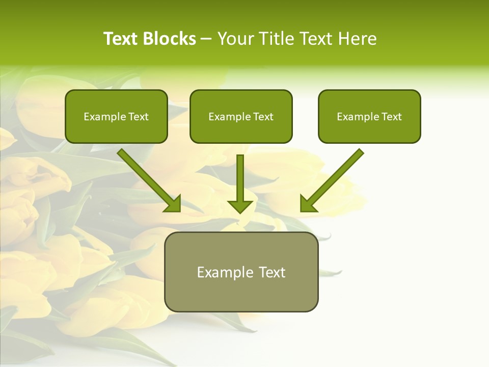 Space Bouquet Color PowerPoint Template