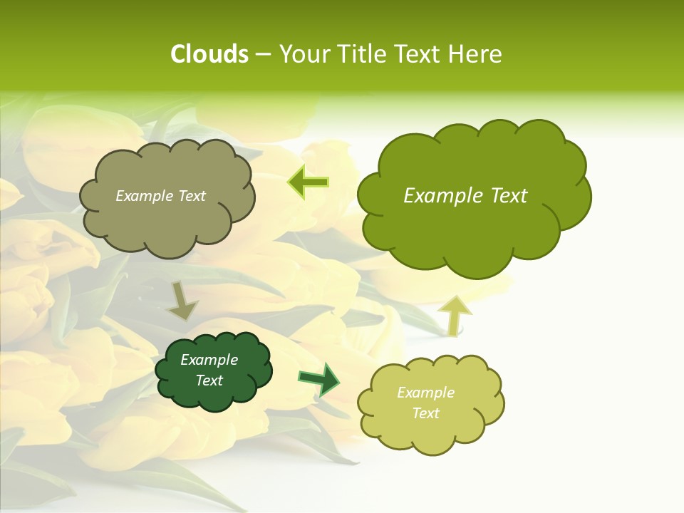 Space Bouquet Color PowerPoint Template
