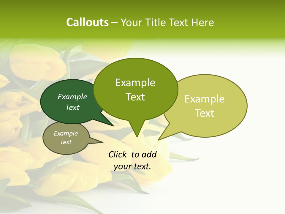 Space Bouquet Color PowerPoint Template