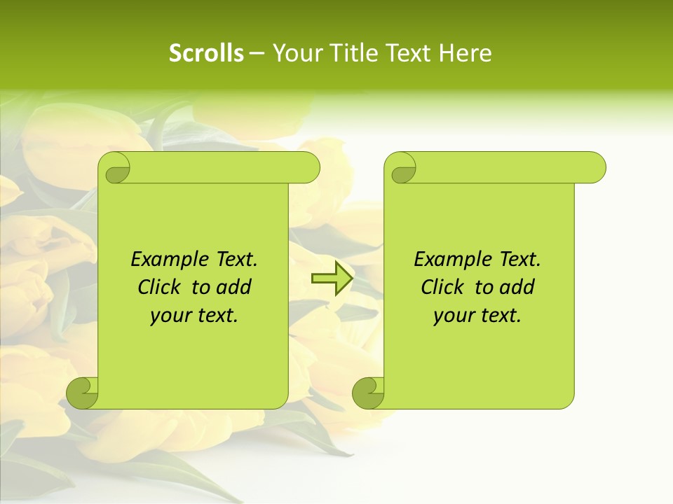 Space Bouquet Color PowerPoint Template