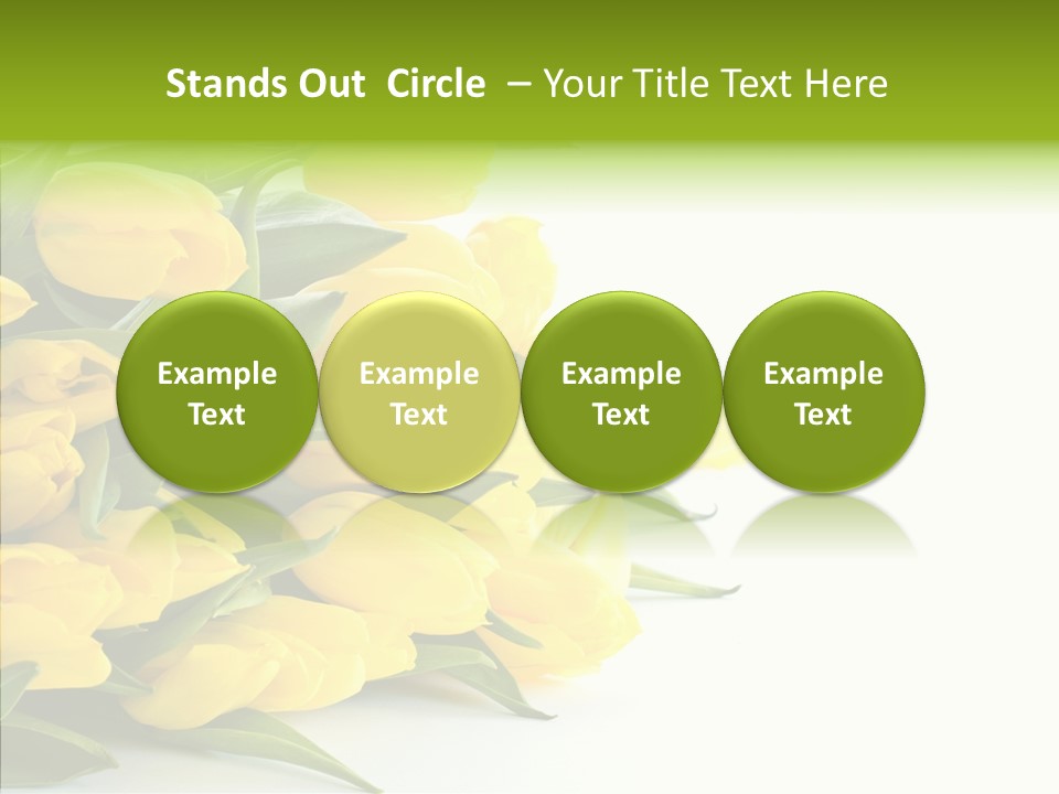 Space Bouquet Color PowerPoint Template