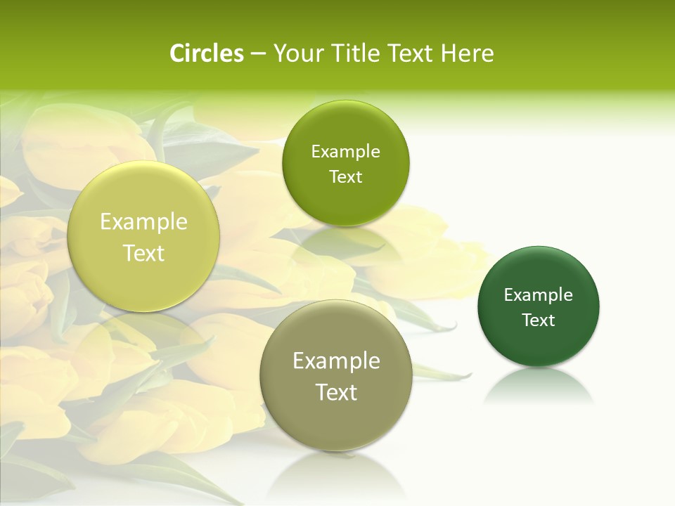 Space Bouquet Color PowerPoint Template