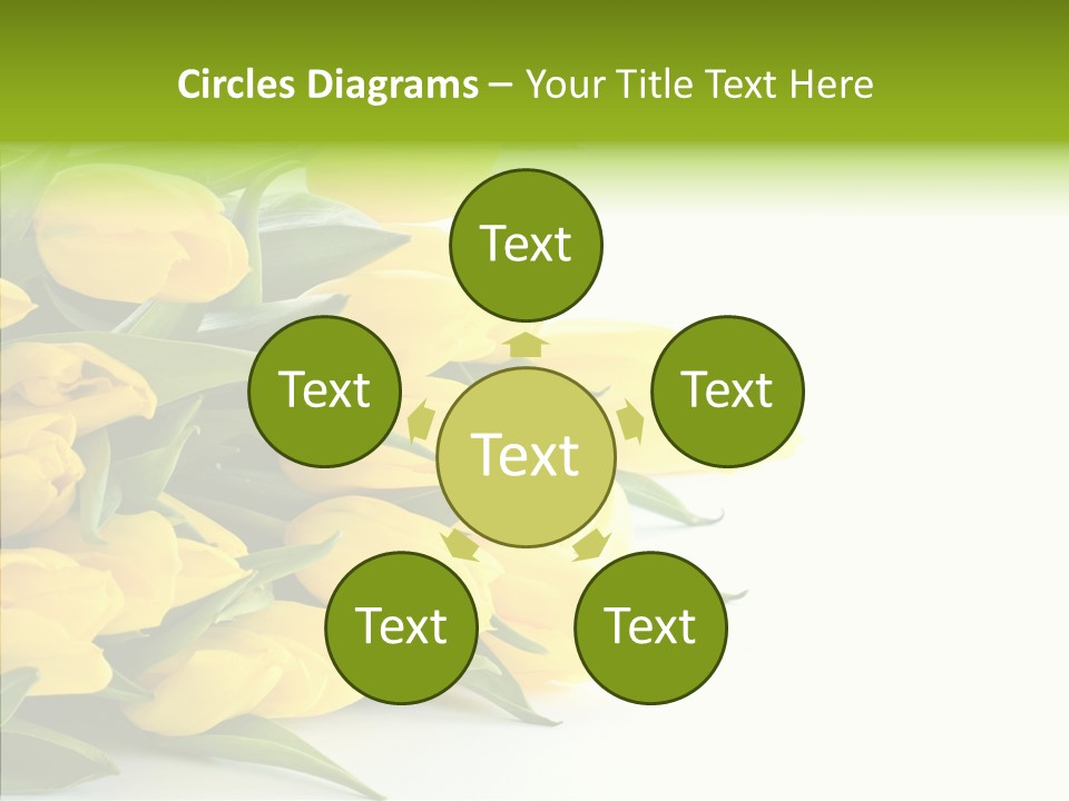 Space Bouquet Color PowerPoint Template