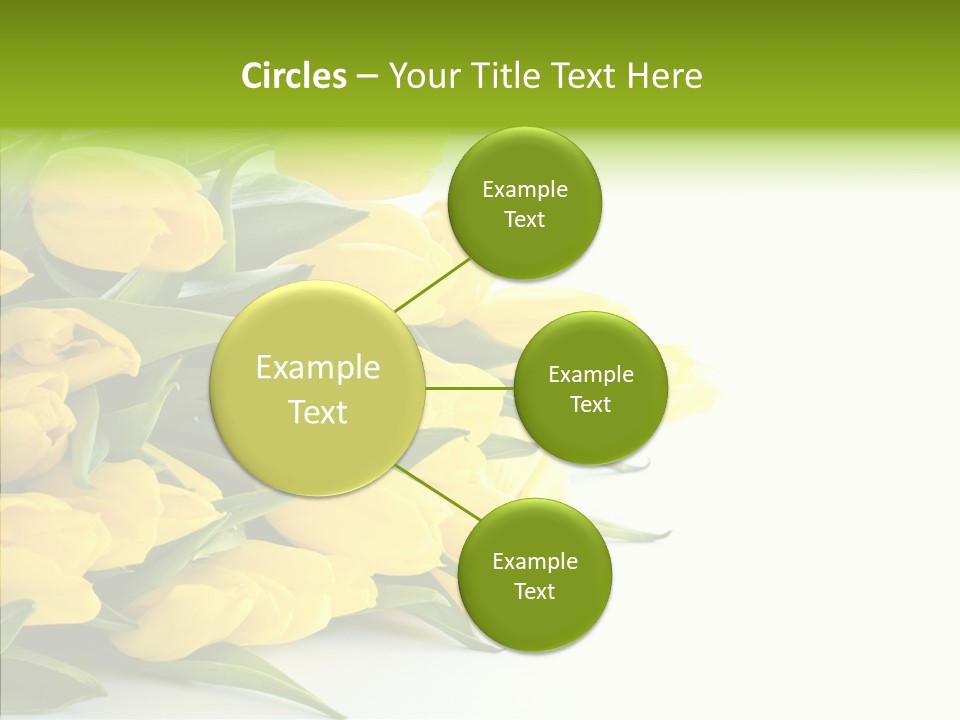 Space Bouquet Color PowerPoint Template