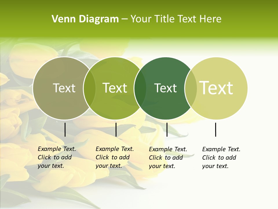 Space Bouquet Color PowerPoint Template