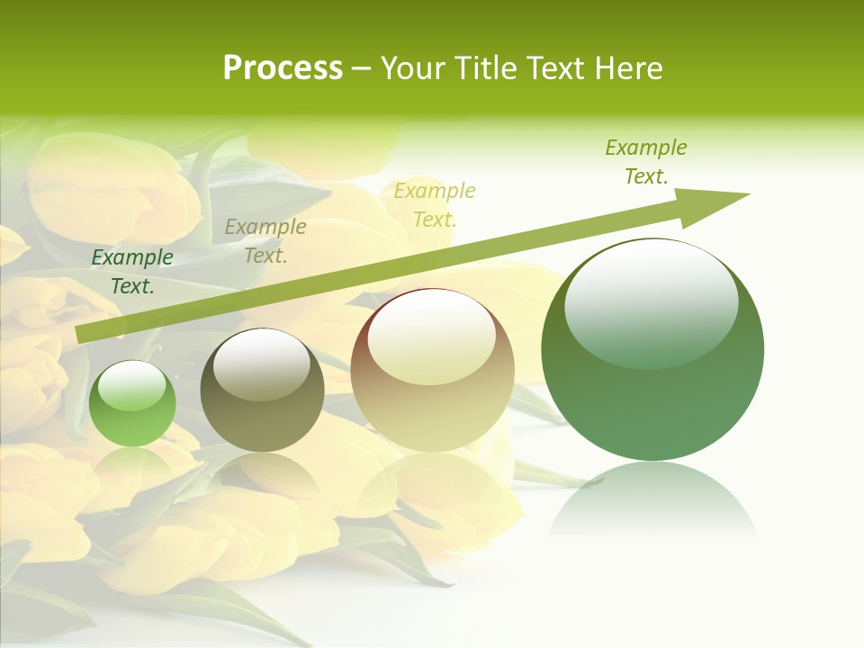 Space Bouquet Color PowerPoint Template