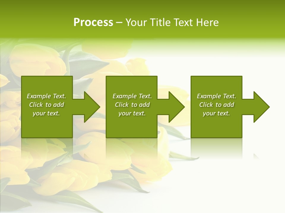 Space Bouquet Color PowerPoint Template