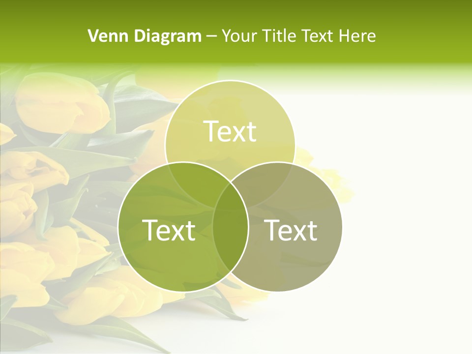 Space Bouquet Color PowerPoint Template