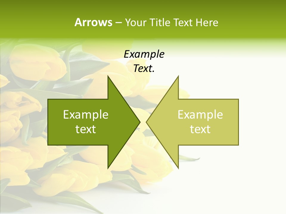 Space Bouquet Color PowerPoint Template