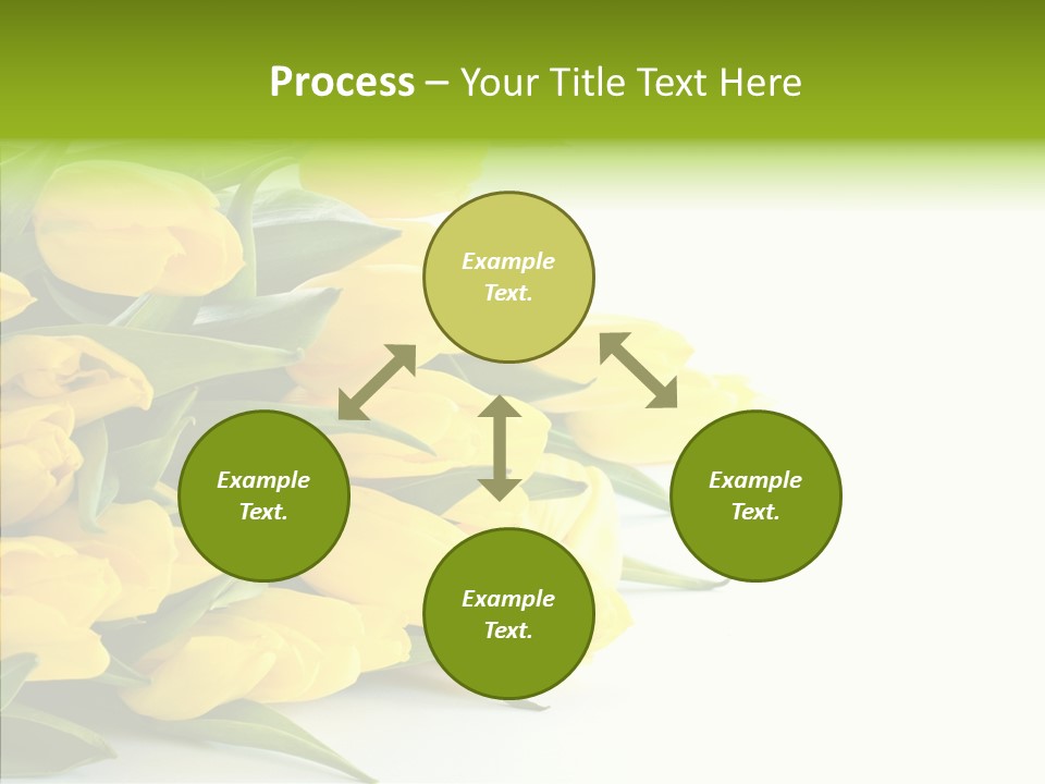 Space Bouquet Color PowerPoint Template