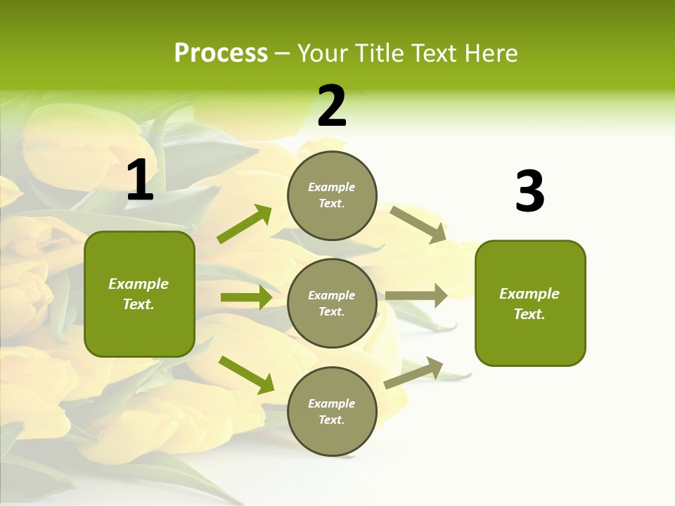 Space Bouquet Color PowerPoint Template