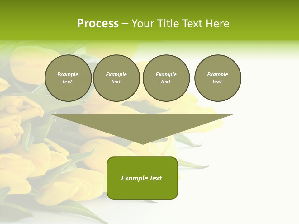 Space Bouquet Color PowerPoint Template