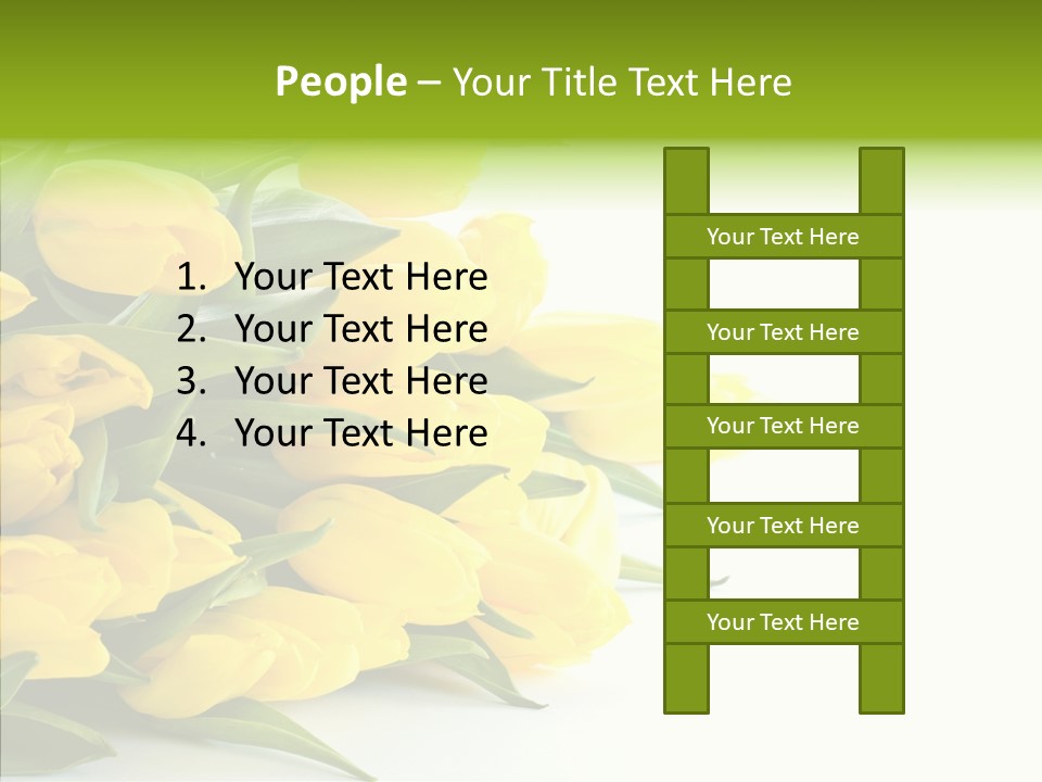 Space Bouquet Color PowerPoint Template