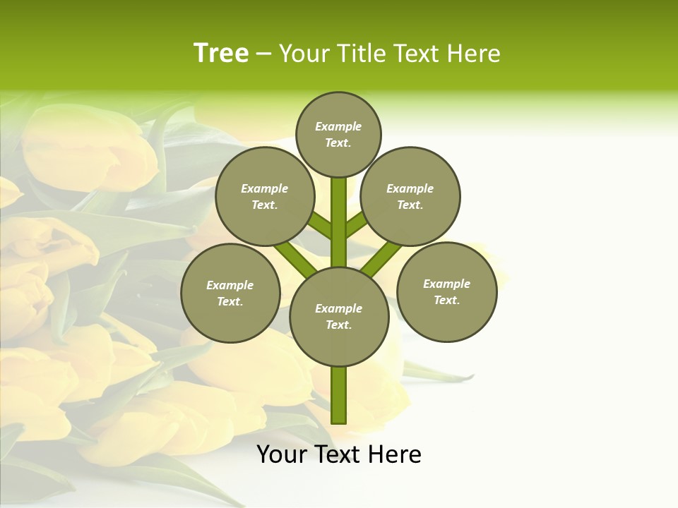 Space Bouquet Color PowerPoint Template