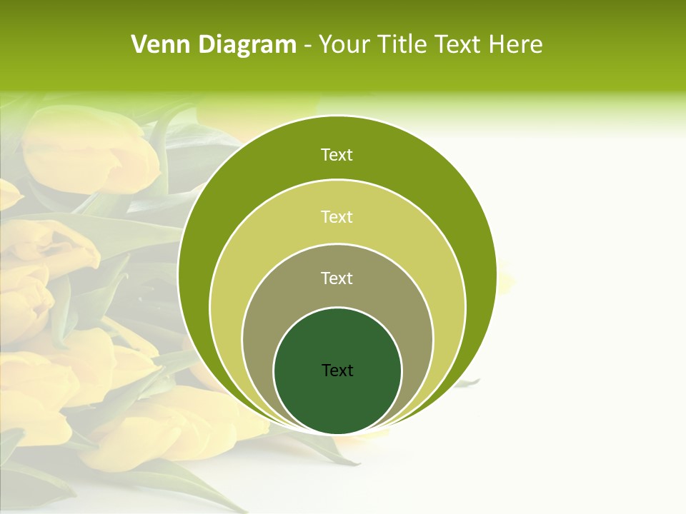 Space Bouquet Color PowerPoint Template