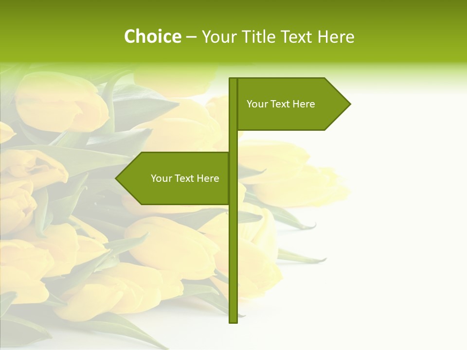 Space Bouquet Color PowerPoint Template