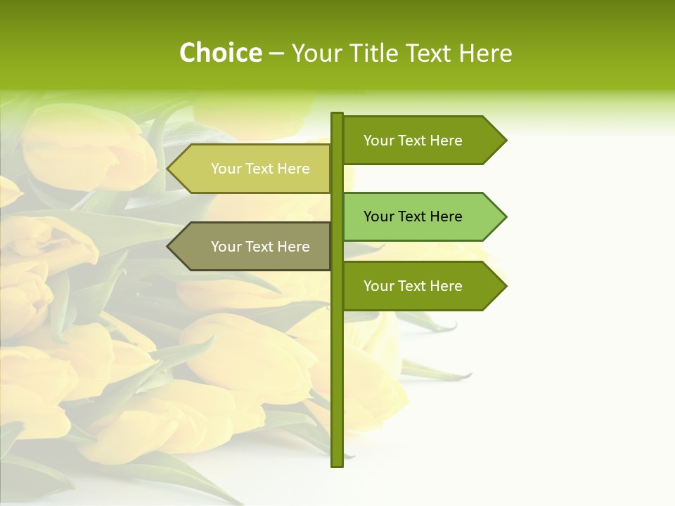 Space Bouquet Color PowerPoint Template
