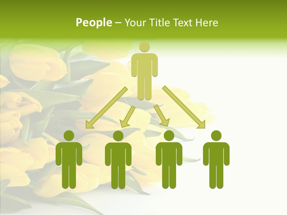 Space Bouquet Color PowerPoint Template