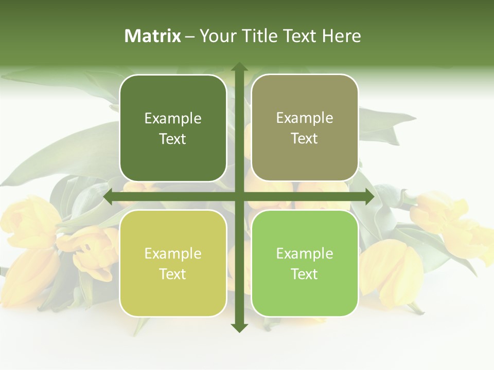 Tulip Romantic Pink PowerPoint Template