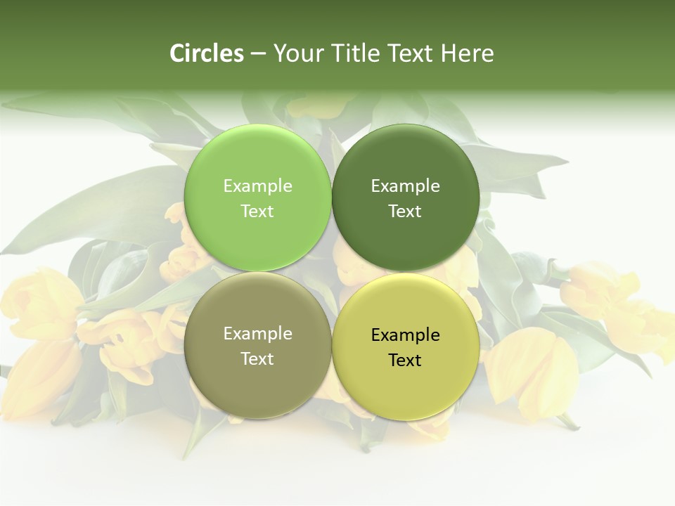 Tulip Romantic Pink PowerPoint Template