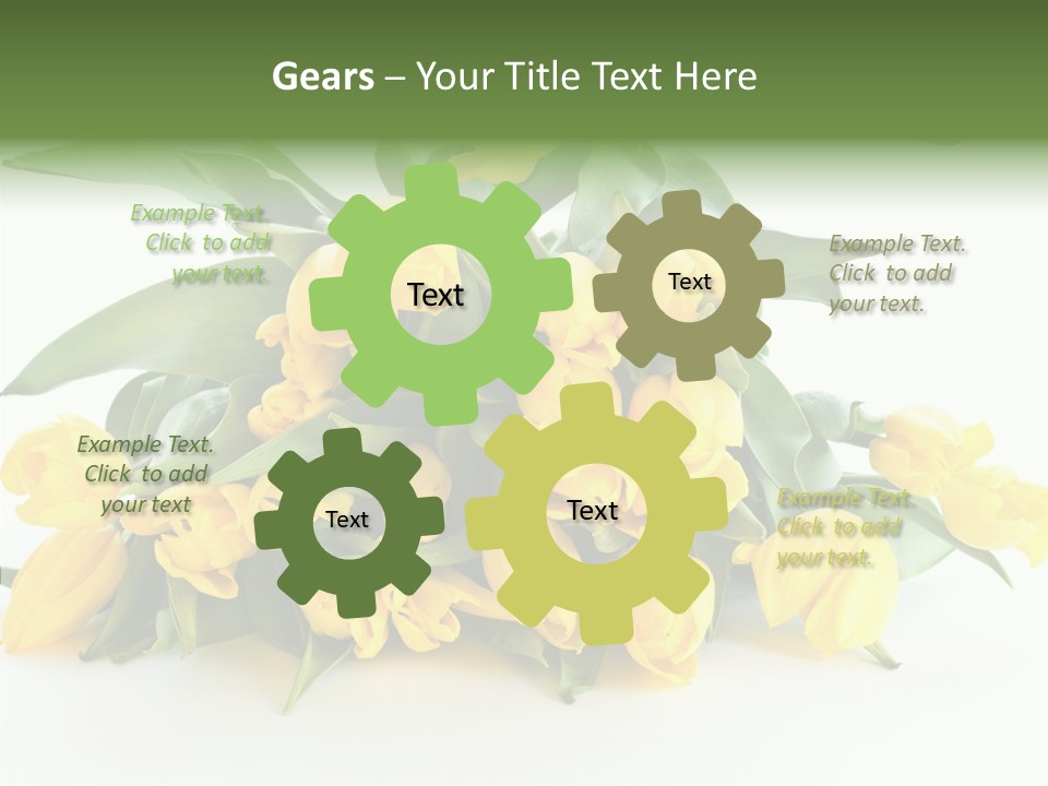 Tulip Romantic Pink PowerPoint Template