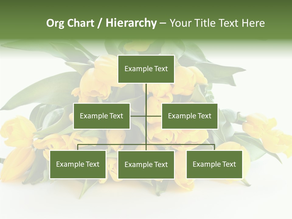 Tulip Romantic Pink PowerPoint Template