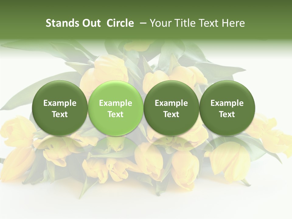 Tulip Romantic Pink PowerPoint Template