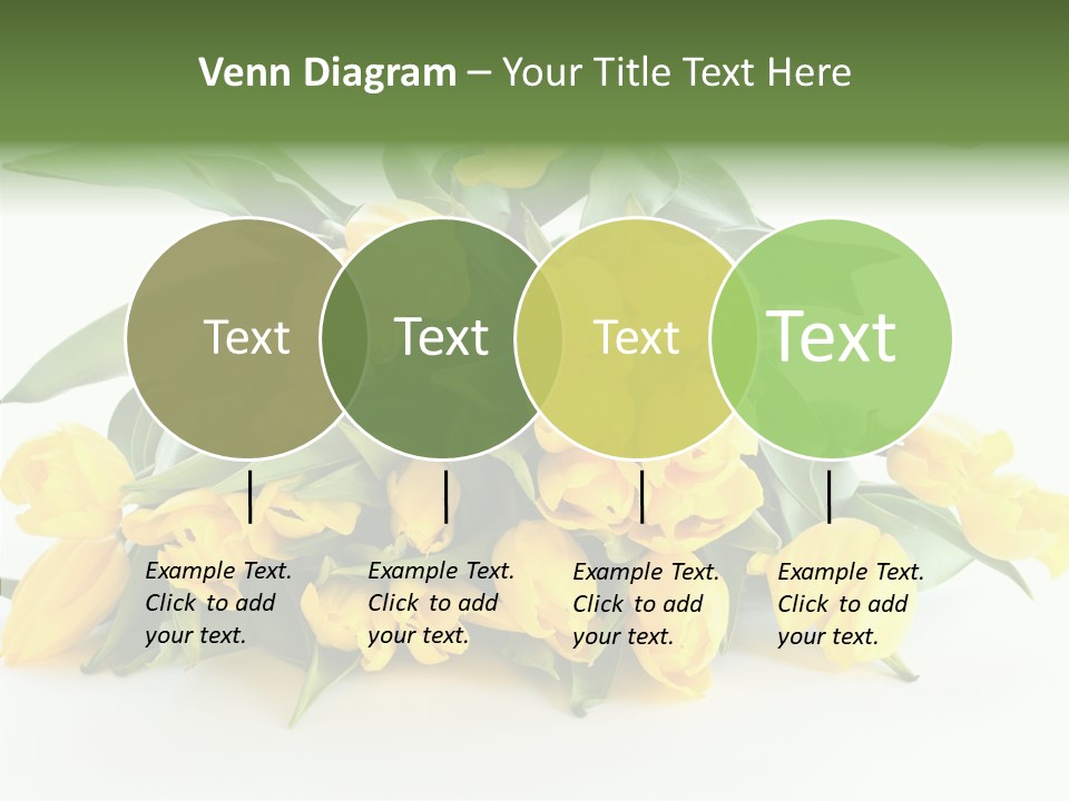 Tulip Romantic Pink PowerPoint Template