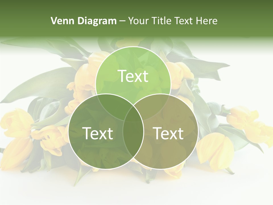 Tulip Romantic Pink PowerPoint Template