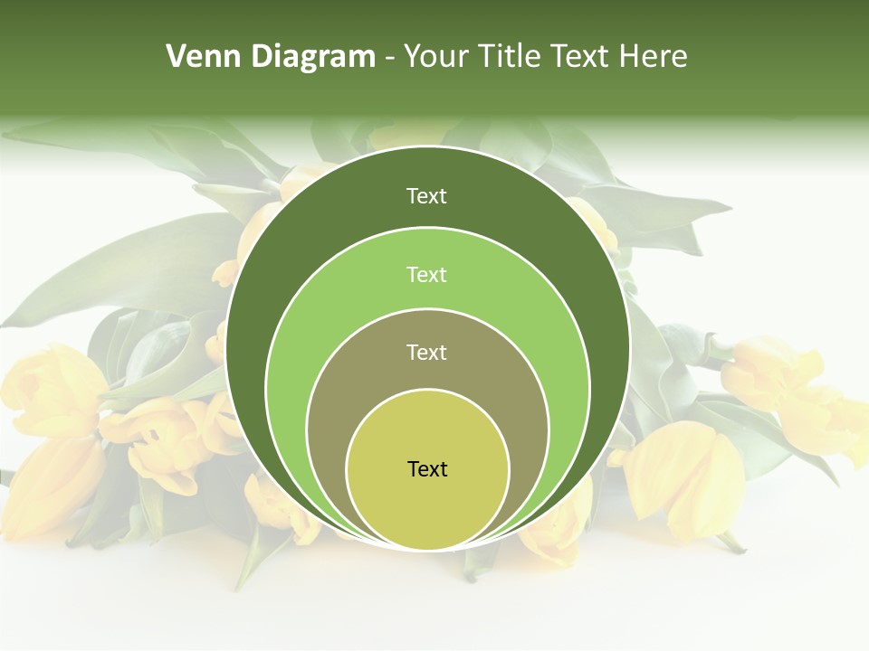 Tulip Romantic Pink PowerPoint Template