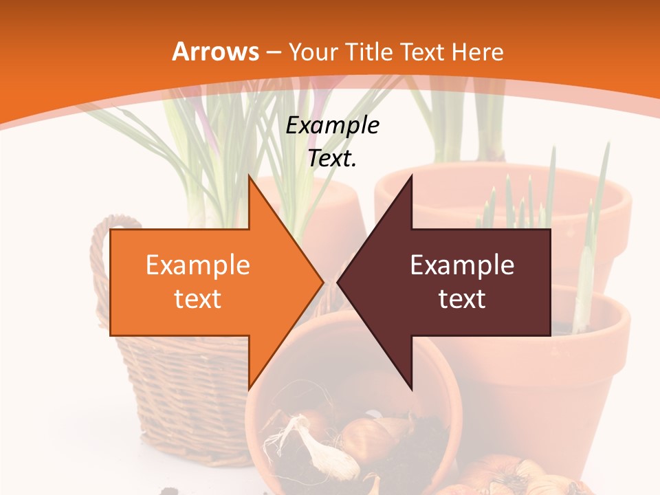 Company Corporate Toon PowerPoint Template