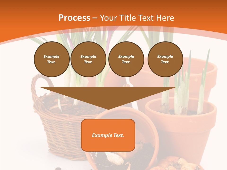 Company Corporate Toon PowerPoint Template