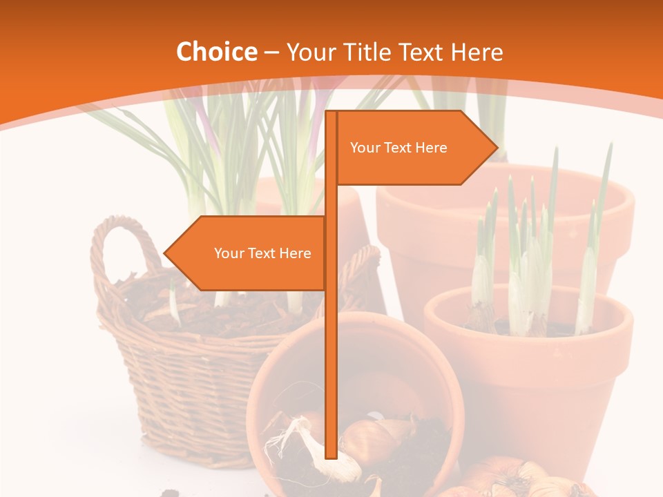 Company Corporate Toon PowerPoint Template