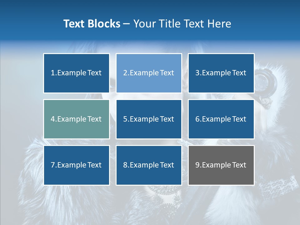 Knight Defense Weapon PowerPoint Template