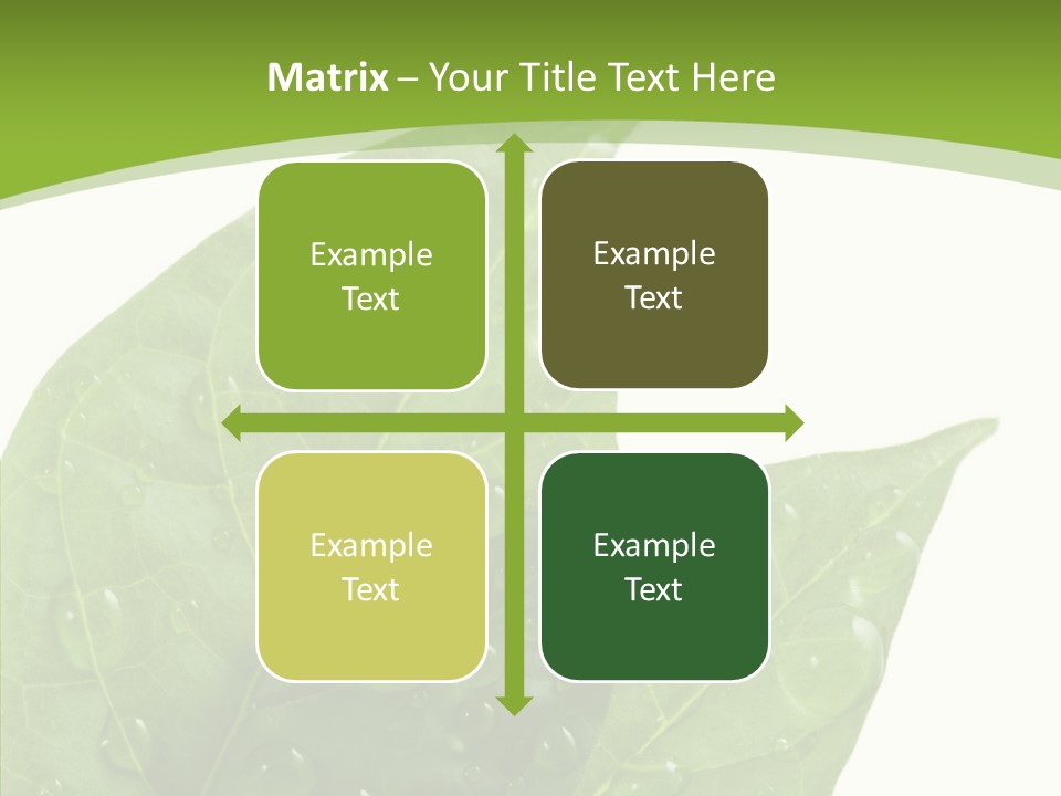 Dewdrops Clear Water PowerPoint Template