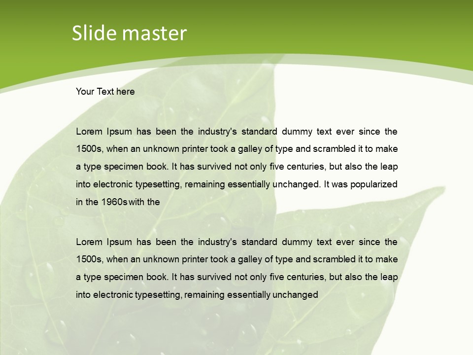 Dewdrops Clear Water PowerPoint Template