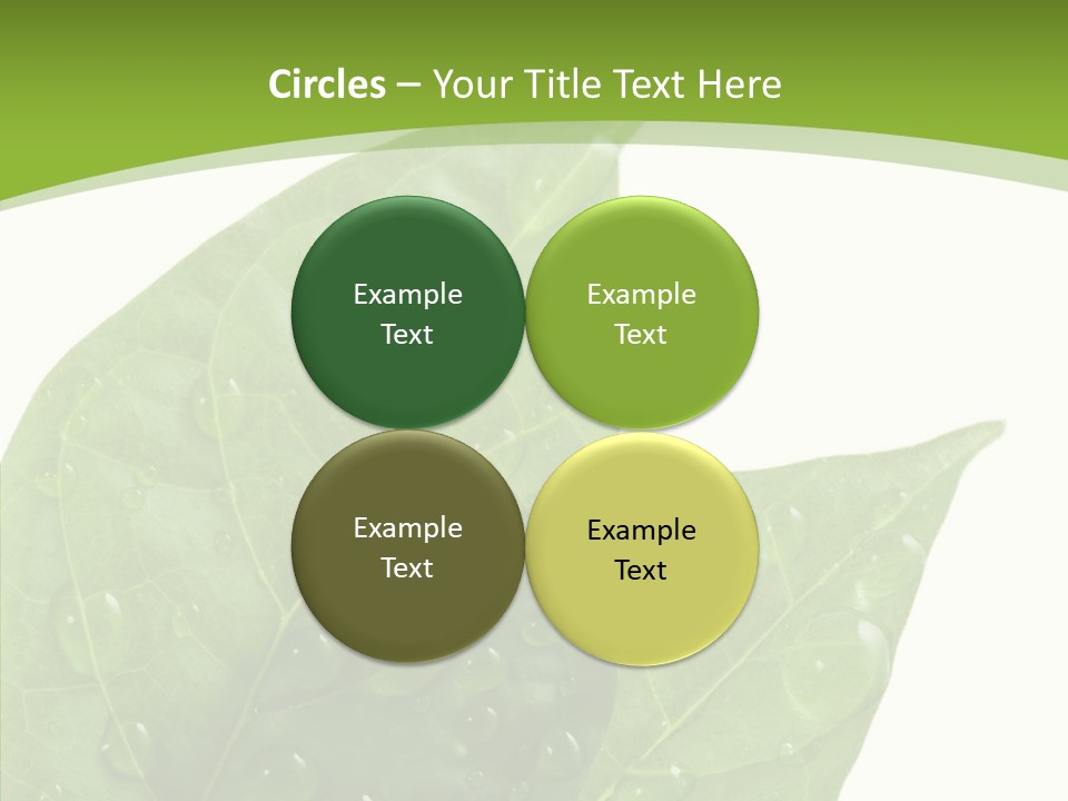 Dewdrops Clear Water PowerPoint Template