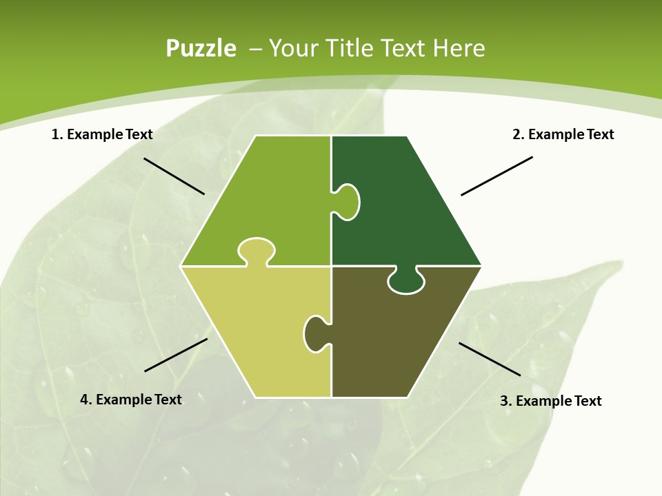 Dewdrops Clear Water PowerPoint Template