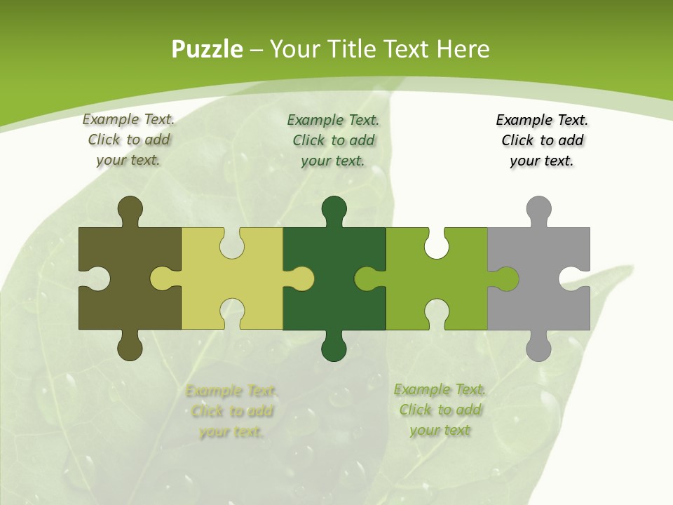 Dewdrops Clear Water PowerPoint Template