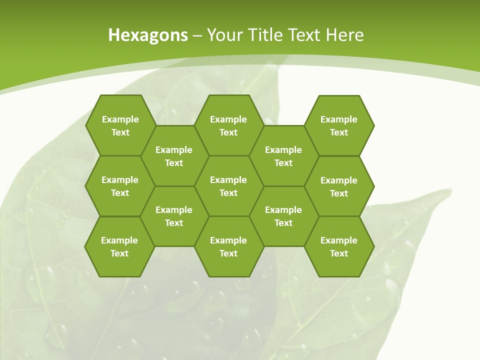 Dewdrops Clear Water PowerPoint Template