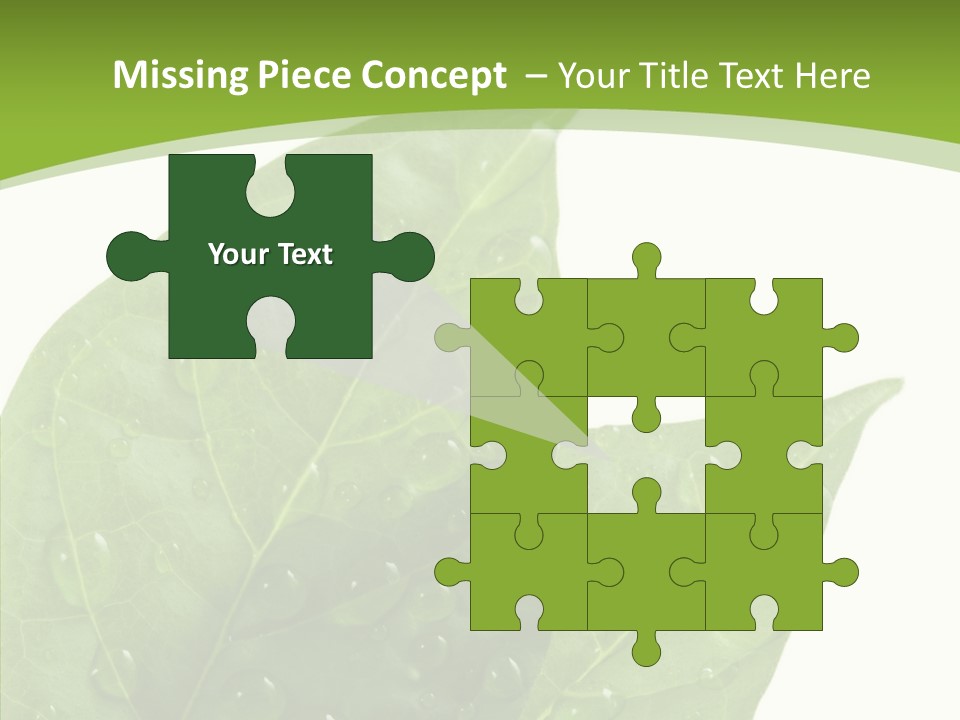 Dewdrops Clear Water PowerPoint Template