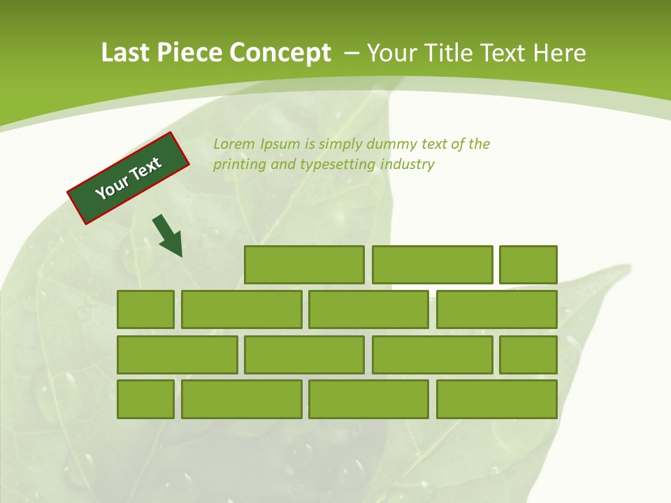 Dewdrops Clear Water PowerPoint Template