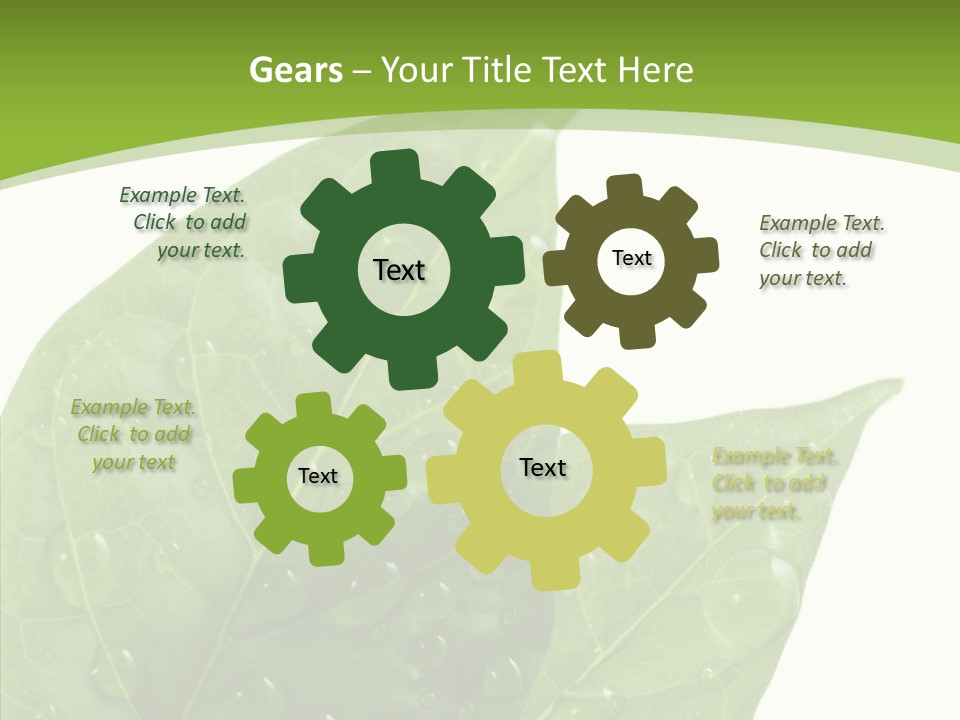 Dewdrops Clear Water PowerPoint Template