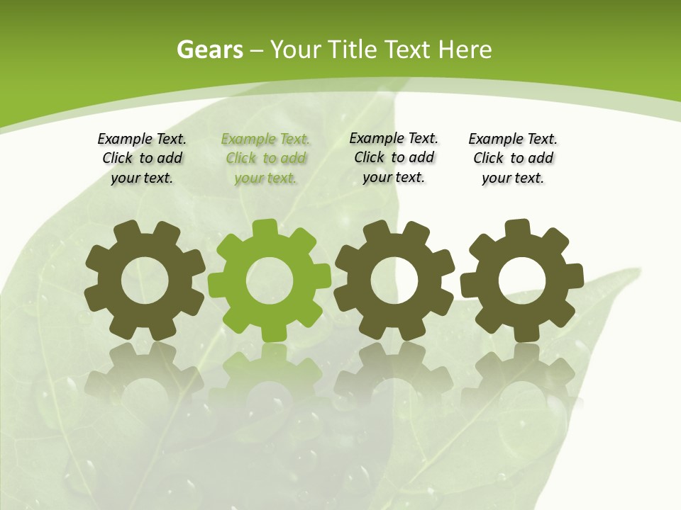 Dewdrops Clear Water PowerPoint Template