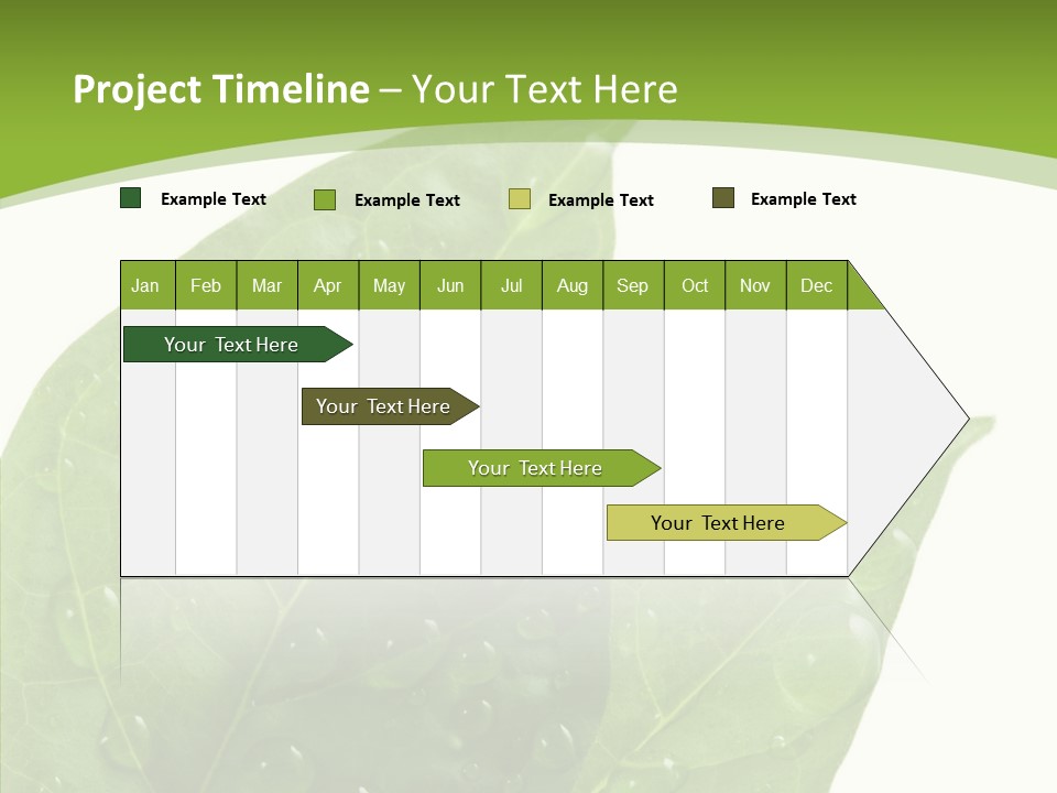 Dewdrops Clear Water PowerPoint Template