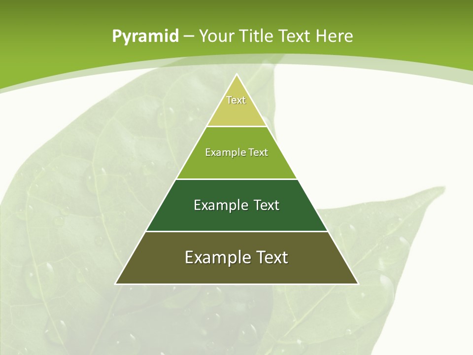 Dewdrops Clear Water PowerPoint Template